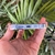 Funda para iPhone 13 - Mobify | Tienda iPhone en La Plata