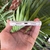 Funda para iPhone 11 - comprar online