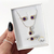 Pack Mini Redondo Bvlgari - tienda online