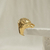 Anillo Tigre en internet
