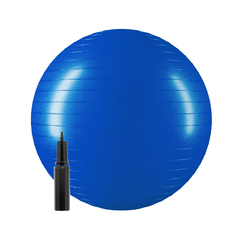 Pelota Yoga Ball Ionify Zenball 65cm Esferodinamia Gym Pilates en internet