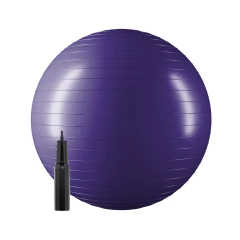 Pelota Yoga Ball Ionify Zenball 65cm Esferodinamia Gym Pilates - comprar online