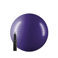 Pelota Yoga Ball Ionify Zenball 55cm Esferodinamia Gym Pilates en internet