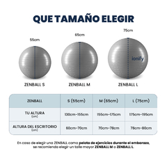 Combo Zen Dualmat + Zenball 65cm + Zenring - TPE 6mm