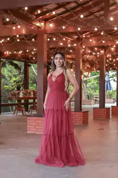 Vestido de tule marsala com brilho( moda)