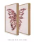 Conjunto 2 Quadros Asas de Borboletas Butterfly Wings na internet