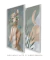 Conjunto 2 Quadros Colagem - Mulher com Flores no Rosto + Abstrato Lua - loja online