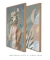 Conjunto 2 Quadros Colagem - Mulher com Flores no Rosto + Abstrato Lua - Quadros para Decoração - Empório dos Quadros