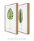 Conjunto 2 Quadros Decorativos Folhas verdes (C/ Nome Científico)