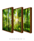 Conjunto 3 Quadros Amanhecer na Floresta - comprar online