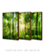 Conjunto 3 Quadros Amanhecer na Floresta - comprar online