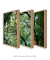 Conjunto 3 Quadros Copa da Árvore