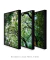 Conjunto 3 Quadros Copa da Árvore - Quadros para Decoração - Empório dos Quadros