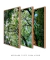 Conjunto 3 Quadros Copa da Árvore - Quadros para Decoração - Empório dos Quadros