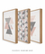 Conjunto 3 Quadros Escandinavos Pink & Grey