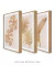 Conjunto 3 Quadros Golden Flowers