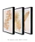 Conjunto 3 Quadros Golden Flowers - loja online