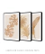 Conjunto 3 Quadros Golden Flowers - comprar online