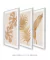Conjunto 3 Quadros Golden Flowers na internet