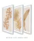 Conjunto 3 Quadros Golden Flowers - loja online