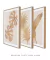 Conjunto 3 Quadros Golden Flowers - Quadros para Decoração - Empório dos Quadros