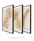 Conjunto 3 Quadros Golden Flowers - loja online