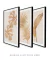 Conjunto 3 Quadros Golden Flowers