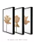 Conjunto 3 Quadros Imponência Floral (Fundo Branco) na internet