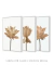 Conjunto 3 Quadros Imponência Floral (Fundo Branco) na internet