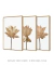 Conjunto 3 Quadros Imponência Floral (Fundo Branco) - loja online