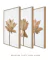 Conjunto 3 Quadros Imponência Floral (Fundo Branco) - comprar online