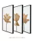 Conjunto 3 Quadros Imponência Floral (Fundo Branco) na internet