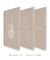 Conjunto 3 Quadros Minimalistas "Simplicity" - loja online