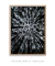 Imagem do Quadro Árvores em Preto e Branco