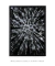 Imagem do Quadro Árvores em Preto e Branco