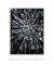 Quadro Árvores em Preto e Branco - Quadros para Decoração - Empório dos Quadros