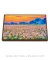 Quadro Campo de Algodão Abstrato - Quadros para Decoração - Empório dos Quadros