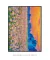 Imagem do Quadro Campo de Algodão Abstrato