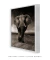 Quadro Elefante - loja online