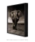 Imagem do Quadro Elefante