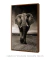 Quadro Elefante - loja online