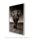 Imagem do Quadro Elefante