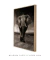 Quadro Elefante - comprar online