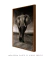 Quadro Elefante - Quadros para Decoração - Empório dos Quadros