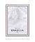 Quadro Mapa de Brasília - comprar online