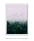 Quadro Pássaros na Floresta - Quadros para Decoração - Empório dos Quadros