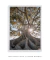 Quadro Raízes - Quadros para Decoração - Empório dos Quadros