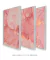 Quadros Mármore Rosa Conjunto com 3