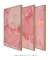 Quadros Mármore Rosa Conjunto com 3 - comprar online