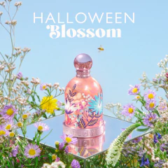 Halloween Blossom en internet